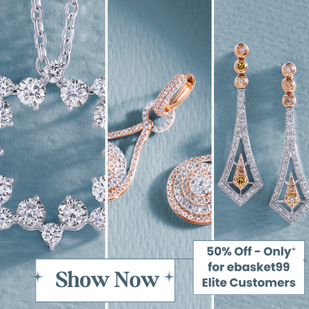 ebasket99.com - Indias frist Digital Mall - Connecting all kind of Local Shops at One Place. promo