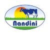 Nandini